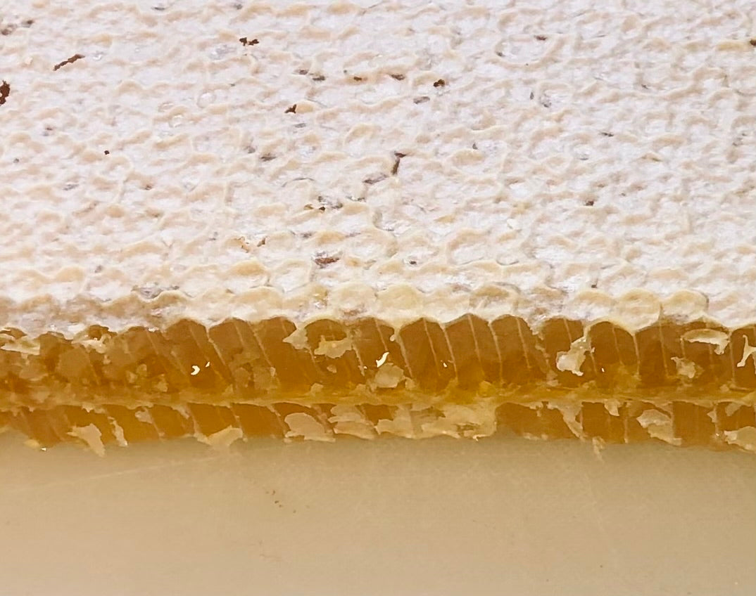 Honey Comb