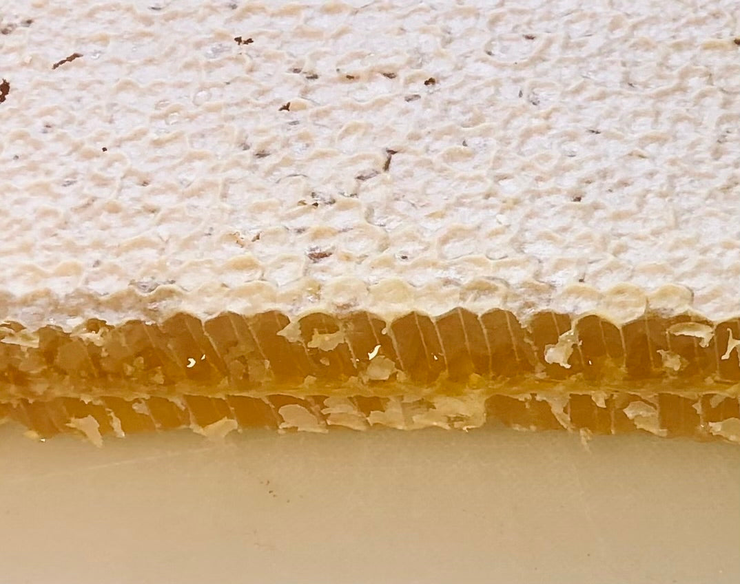 4 x Honey Comb