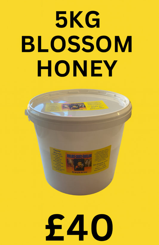 5 kg Somerset Blossom Honey Bucket
