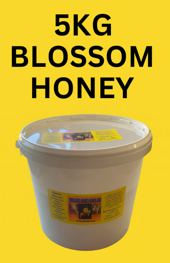 5 kg Somerset Blossom Honey Bucket ( Please Note This is Collection Only From Our Store)