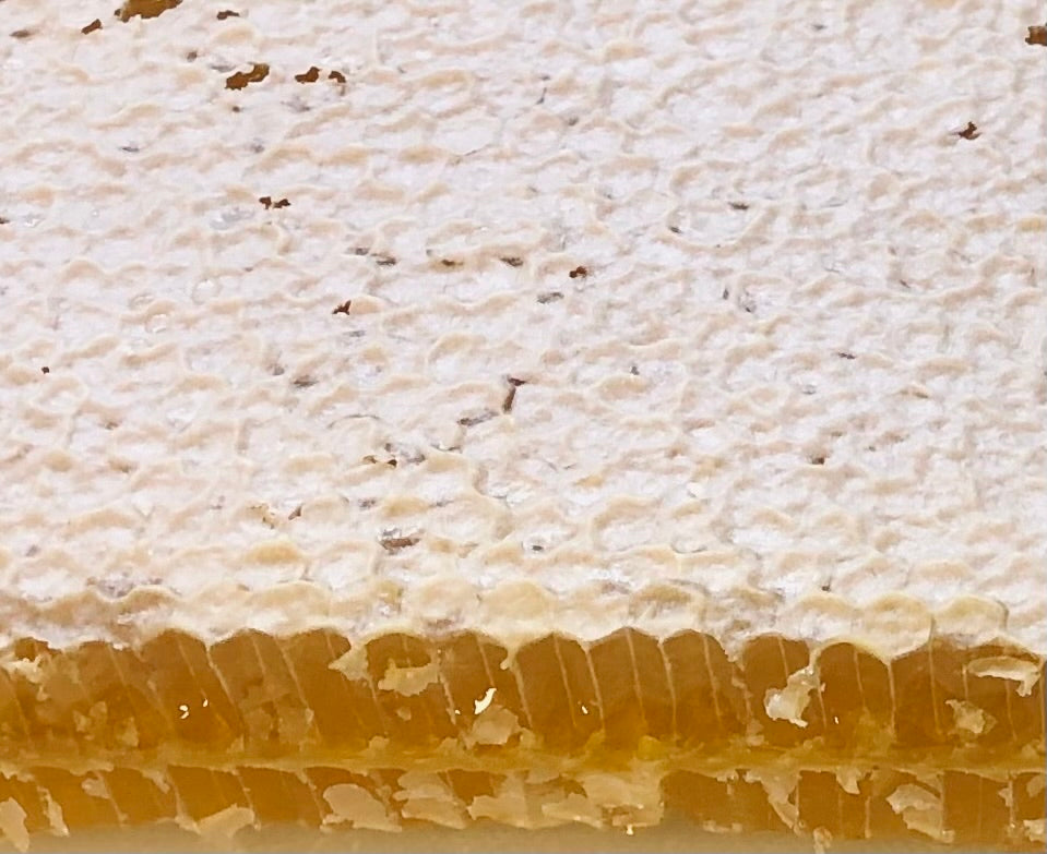 Honey Comb