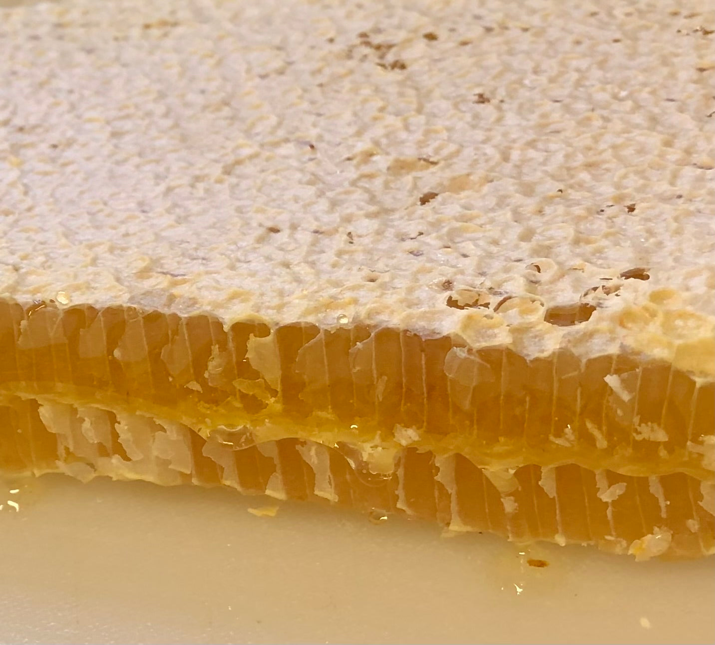 Honey Comb