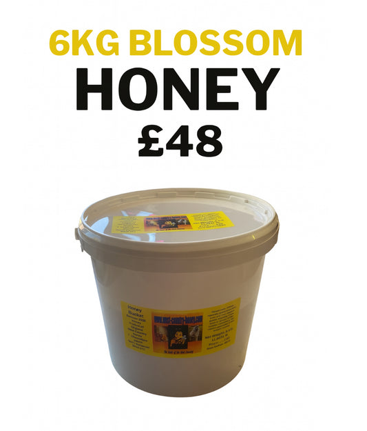 6 kg Blossom Honey Bucket