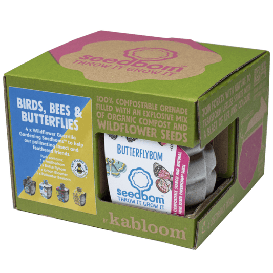 Birds, Bees & Butterflies Seedbom Gift Box
