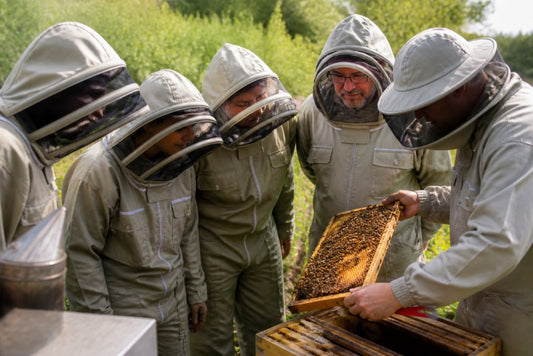 Are Beekeeping Experiences Worth the Price? 2026 Guide