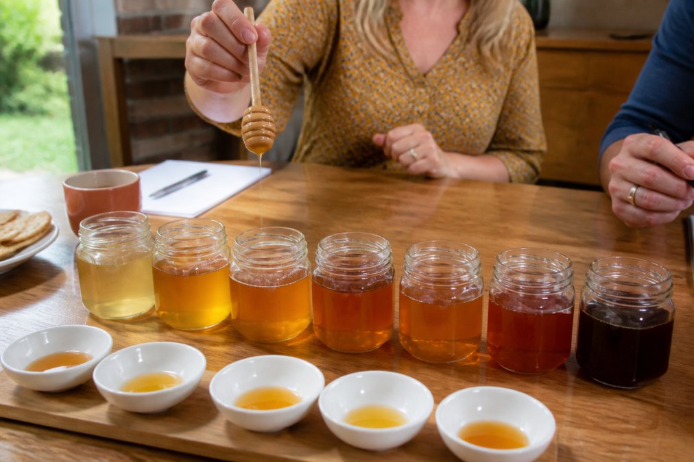 How to Host a Honey Tasting: A Complete Guide