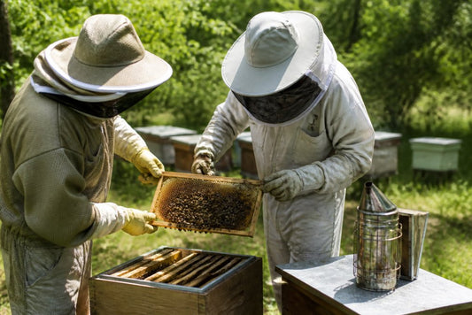 How to Support Local Beekeepers: A 2026 Guide