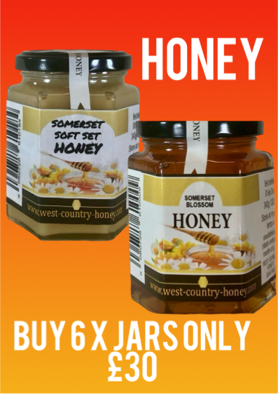 Honey 6 x 12 oz / 340 g Jars West Country Blossom Honey