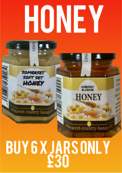 Honey 6 x 12 oz / 340 g Jars West Country Blossom Honey